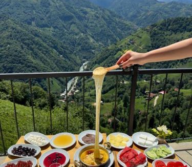 Ayder Hotel | Toli Bungalow
