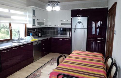 Trabzon Apartment | Trabzon Gürbulakta kiralık villa
