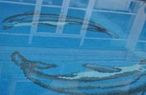 Altinoluk Hotel | Ucem Hotel Golden Sea