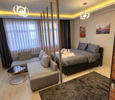 Istanbul City Center Apartment | VEFA HıSTORICAL SUITES HOTEL