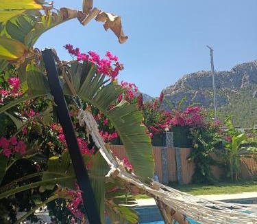 Goynuk Villa | Villa Anı