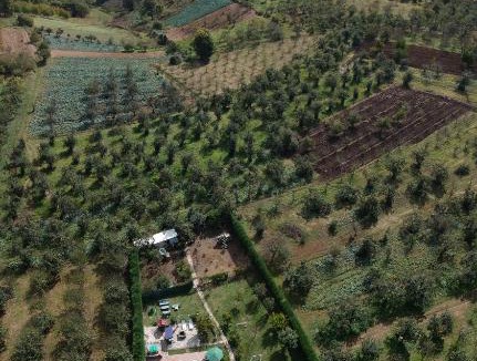 Serdivan Villa | Yeşil Bahçe Çiftlik Evi
