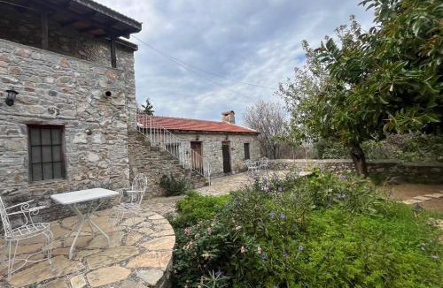 Old Datca Apartment | Zeytin