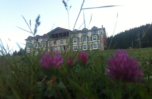 Dereli Hotel | Zifin Hotel