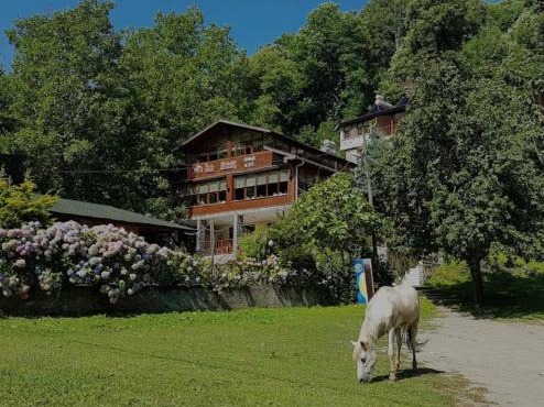 Özde Dağ Evi in Sapanca