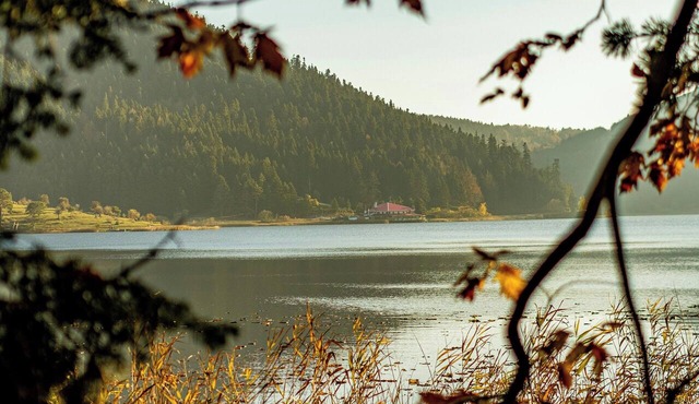 Abant Doga Kosku