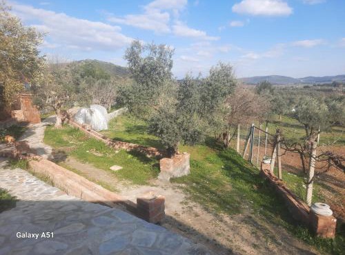 Ali dede kamp karavan bungalow in Selcuk
