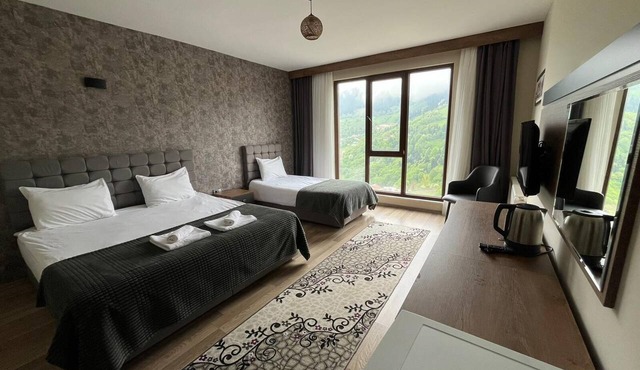 Alya Teras Otel in Maçka