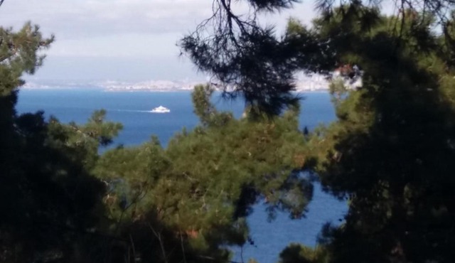 Apartament Ada