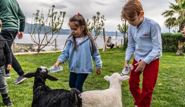 Assos Alis Farm Boutique Hotel & Spa in Behramkale
