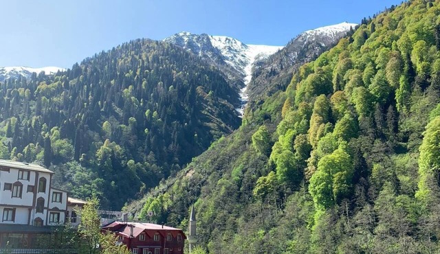 Ayder Yesil Vadi Otel in Camlihemsin