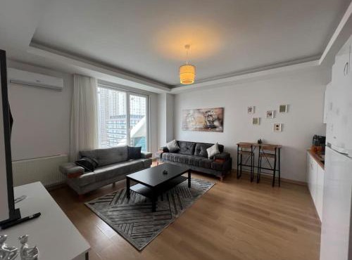 Cozy Homes 2 Room Apartment Well Designed in Esenyurt