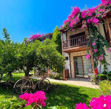 Faralya Misafir Evi in Faralya