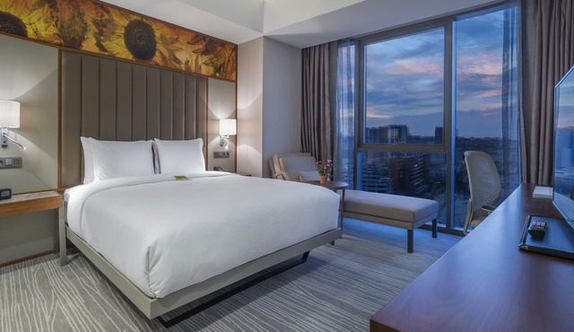 Hilton Garden Inn Istanbul Airport