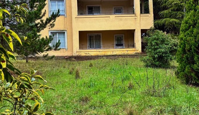 Nature gate airport rooms in Arnavutköy