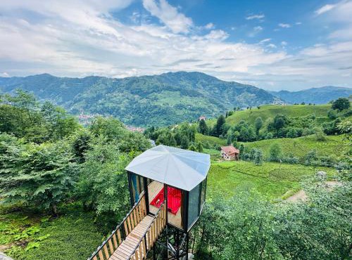 Organic village bungalow