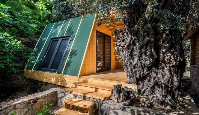 Petrinos Butik Otel in Datça