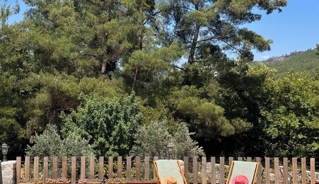 Private Pool Modern&Delightful Farmhouse In Nature With AC Near Sea&Airport in Dalaman