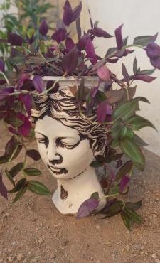 Rahat Ev in Bodrum City