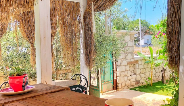 Temucin Hotel