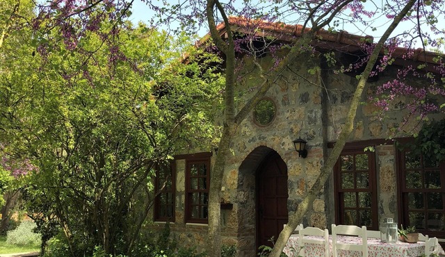 Traditional stone cottage with stunning garden in historic Kaya village. in Fethiye