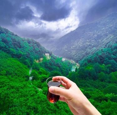 Uzungöl’e Yakın Doğadaki Eviniz in Çaykara