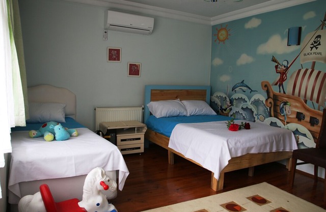 VILLA ATLAS Sapanca Yeşillikler içinde doğa ile baş başa tatil fırsatı