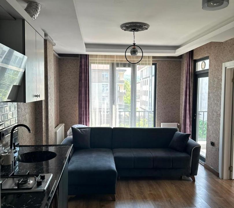 Altınordu Apartment | my homes -günübirlik turizim evi