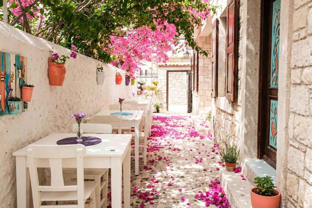 Hacımemis Bed & Breakfast | Alayaz Hotel