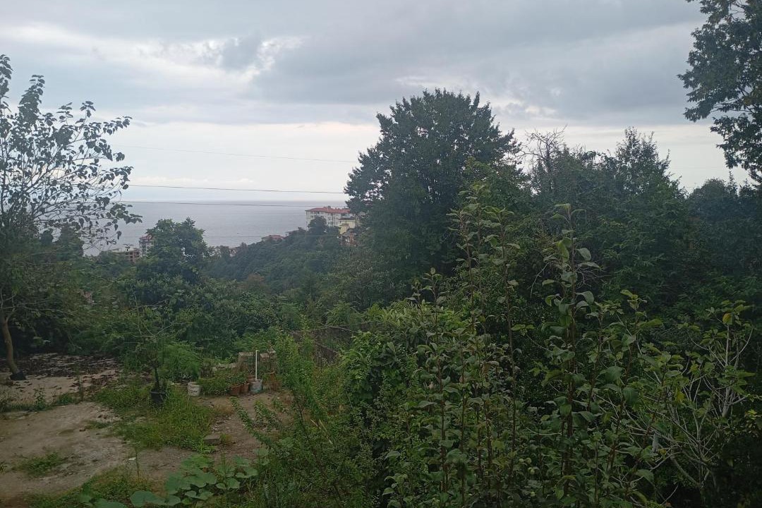 Pazar Apartment | Huzur Apart
