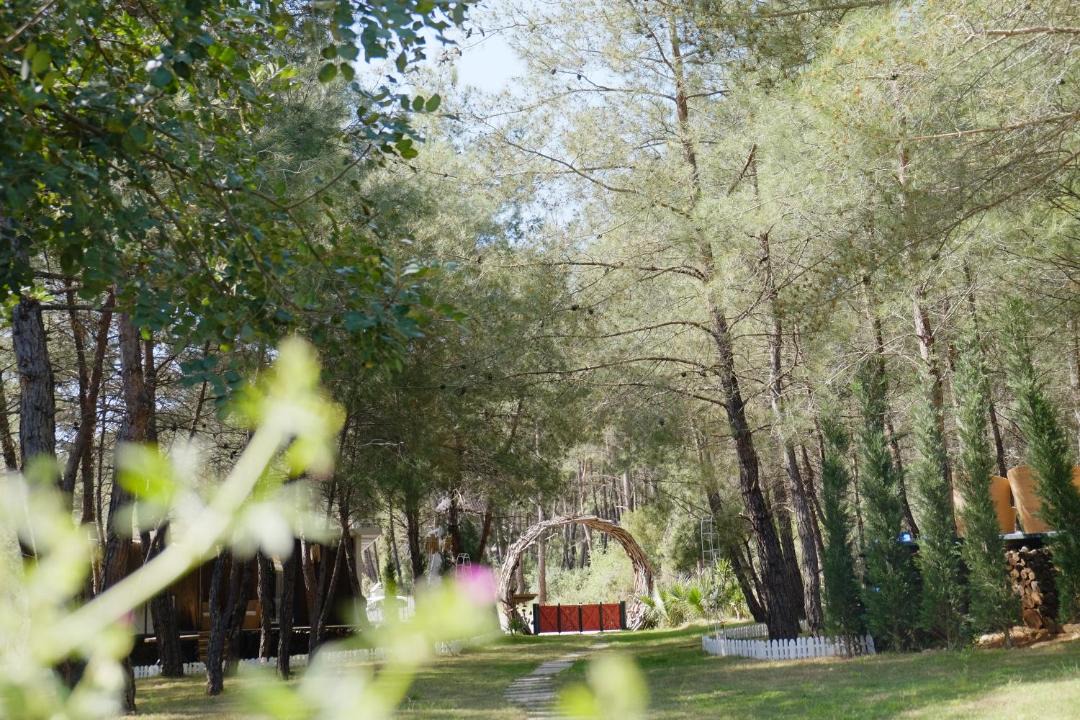 Fethiye Hotel | Mossa Afkule Kayaköy