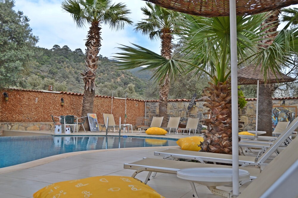 Photo of Outdoor in Torba