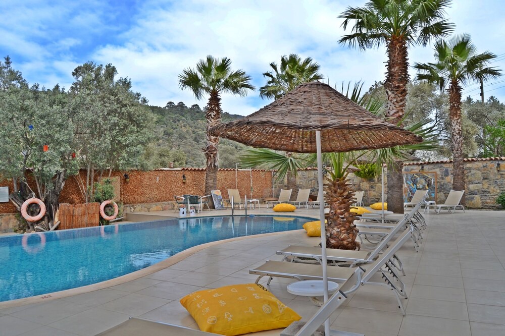 Photo of Outdoor in Torba
