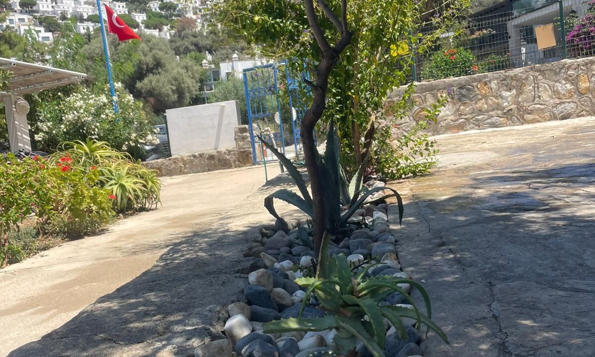 Photo of Outdoor in Koyunbaba