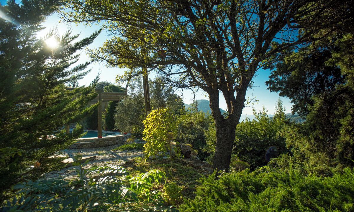 Photo of Outdoor in Avlana