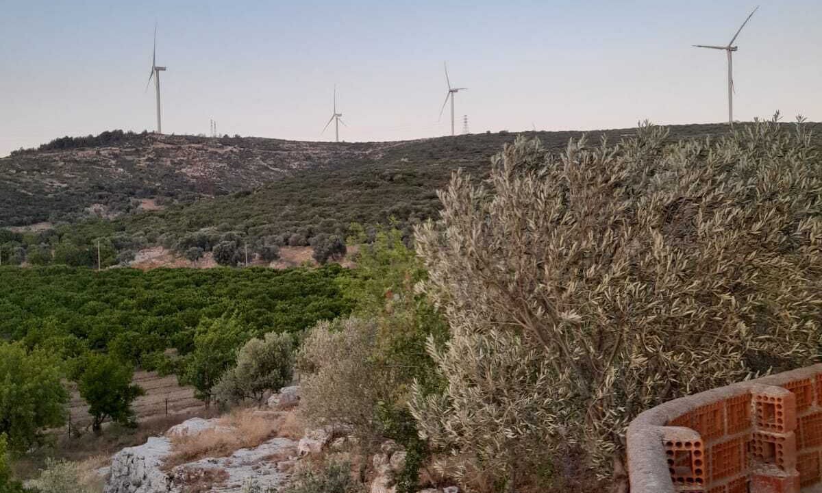 Photo of Outdoor in Seferihisar
