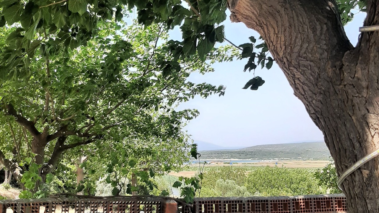 Photo of Outdoor in Seferihisar