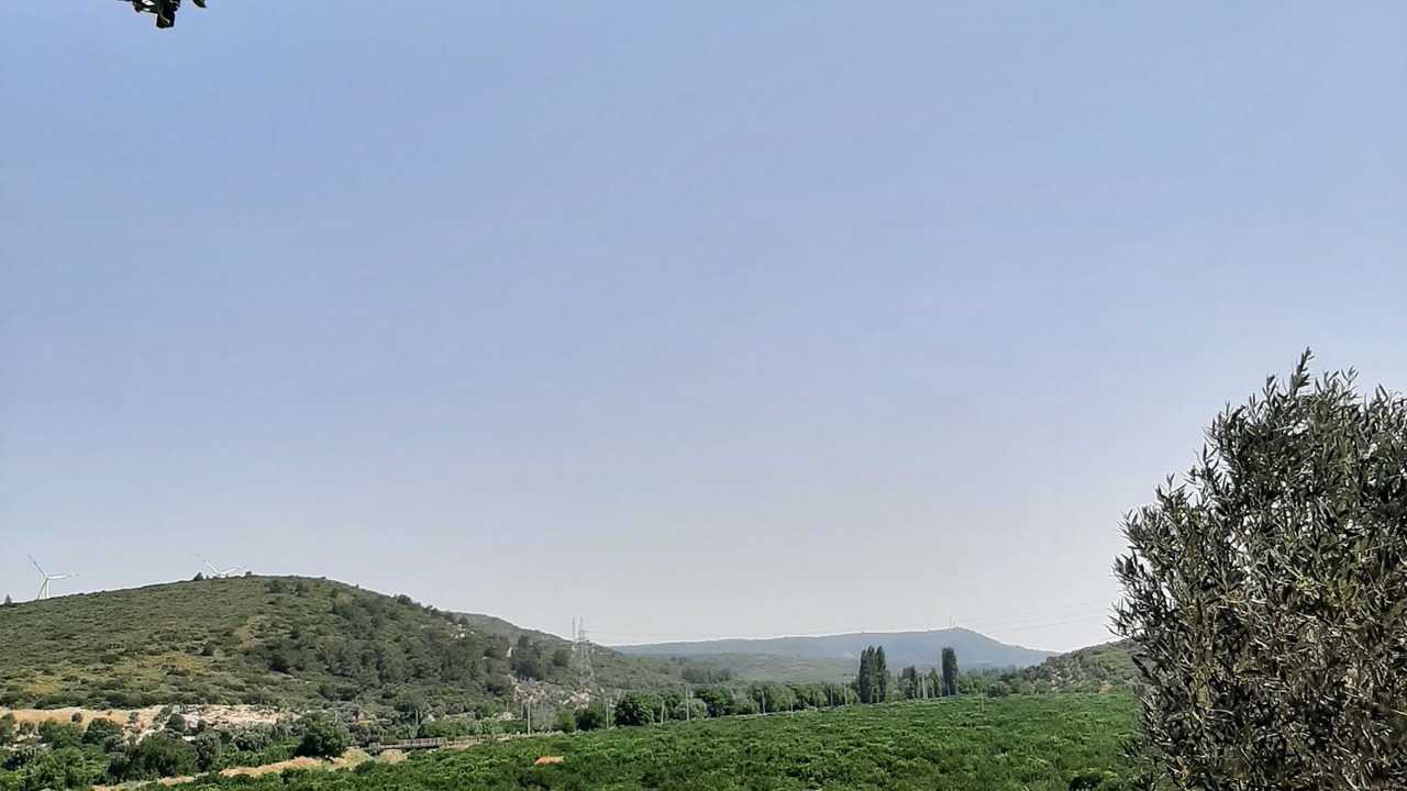 Photo of Outdoor in Seferihisar