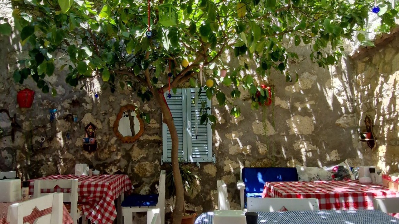 Photo of Outdoor in Tokoglu