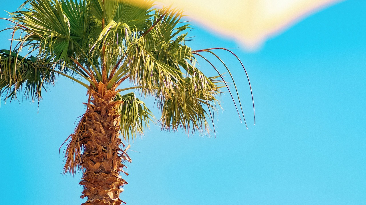 Photo of Outdoor in Datca