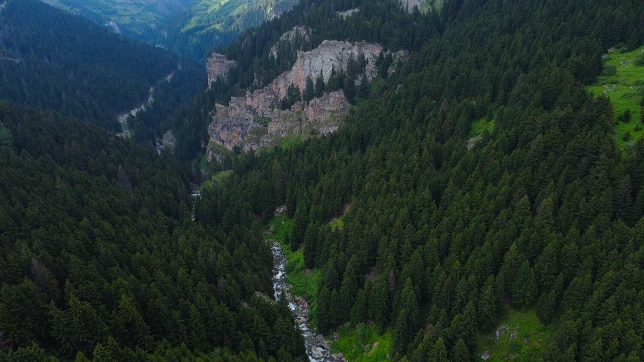 Photo of Outdoor in Arakli