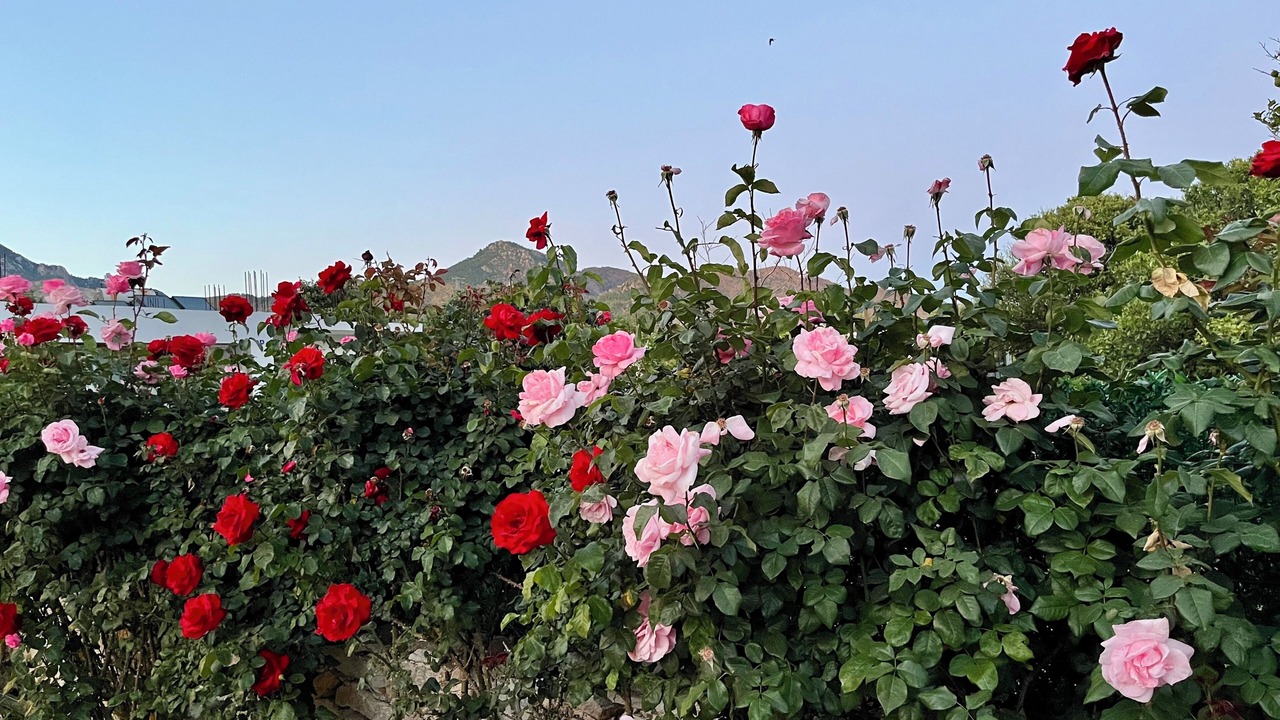 Photo of Outdoor in Ovabuku