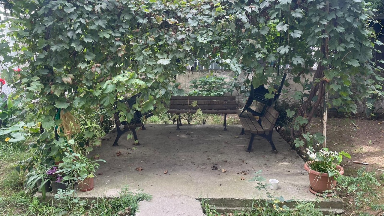 Photo of Outdoor in Ortakoy
