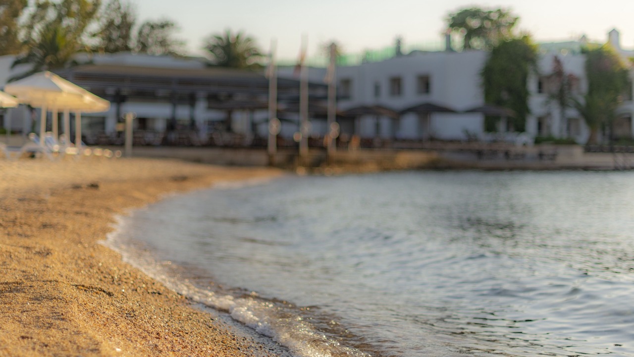 Photo of Others in Torba