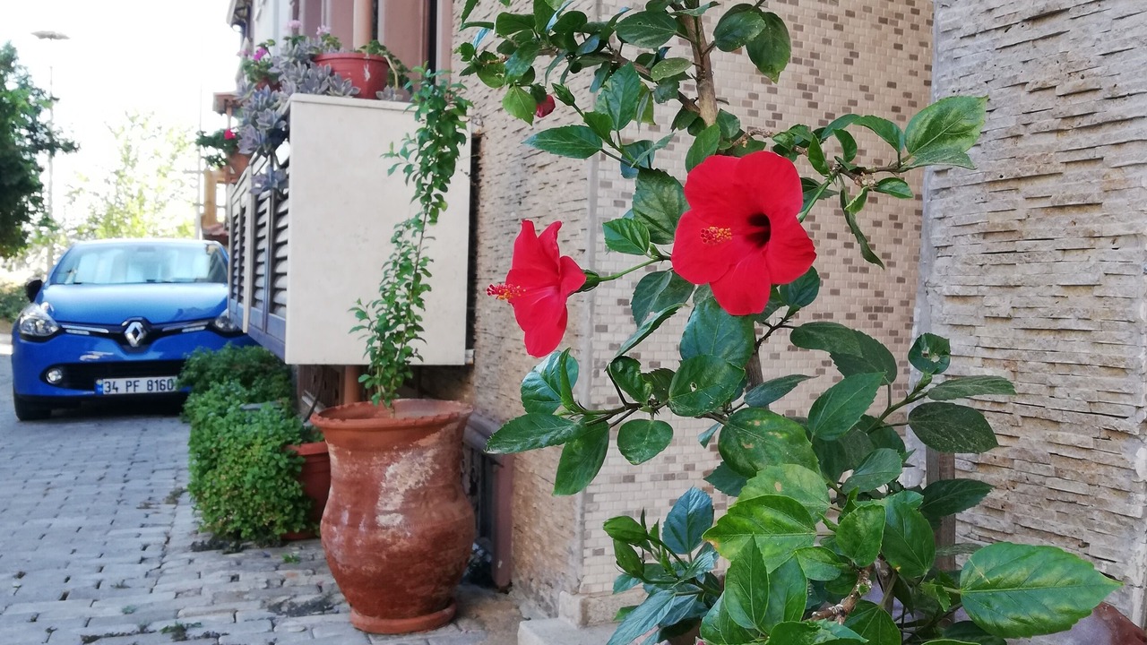 Photo of Outdoor in Selcuk