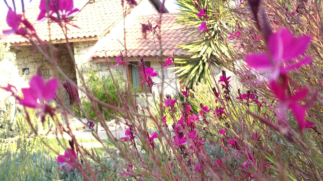 Photo of Outdoor in Urla