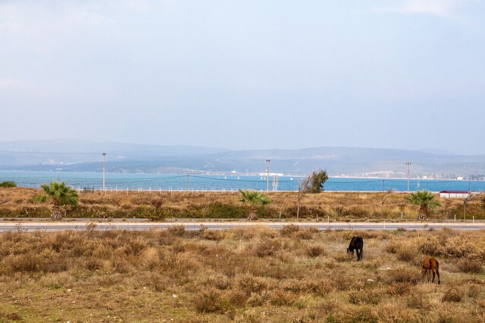 Photo of Others in Urla