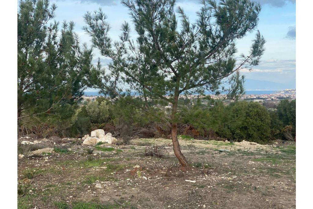 Photo of Outdoor in Urla