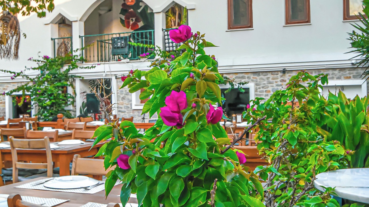 Photo of Outdoor in Old Datca