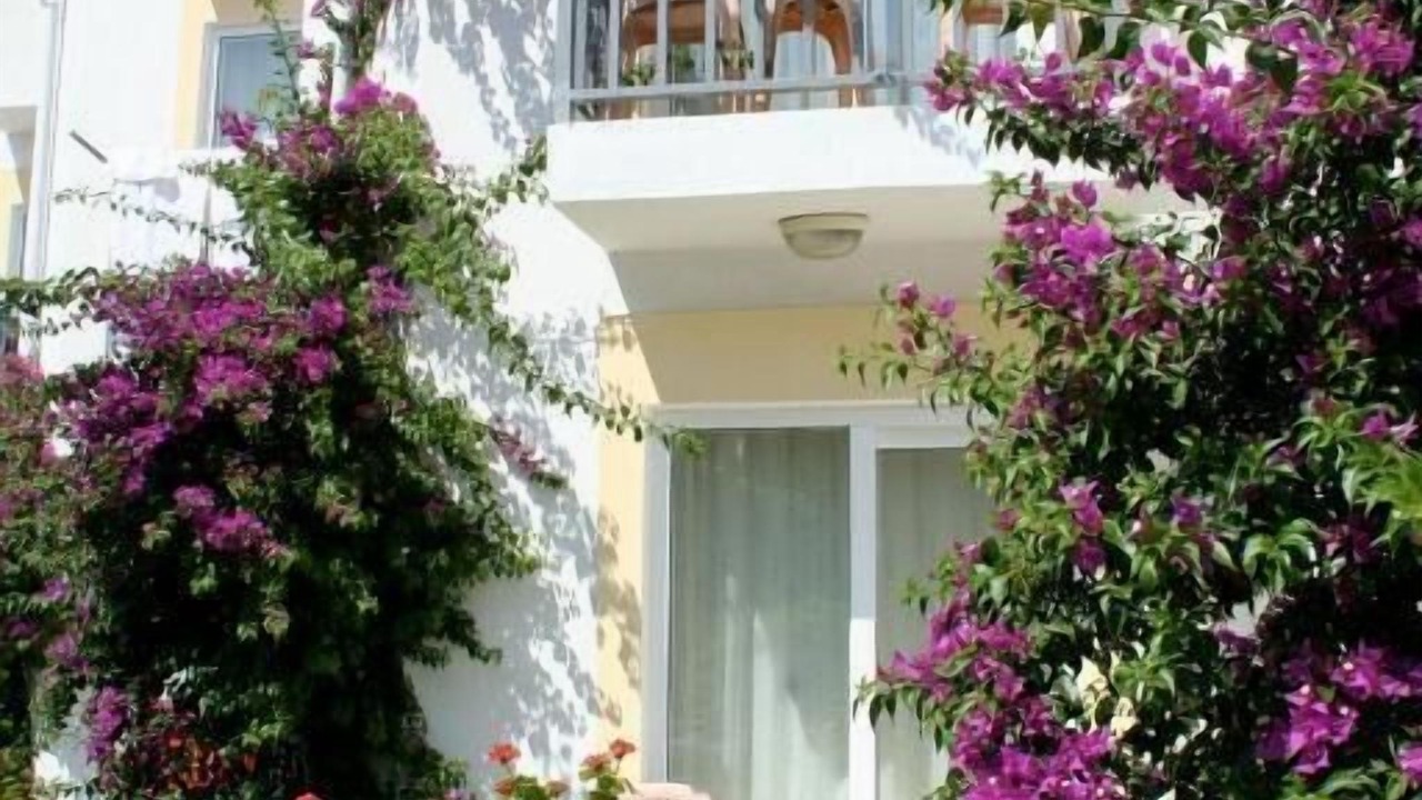 Photo of Outdoor in Ortakent